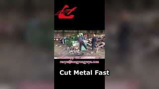 Strzyżenie aligatora