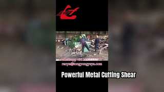 Q43-2500 Nożyce aligatorowe