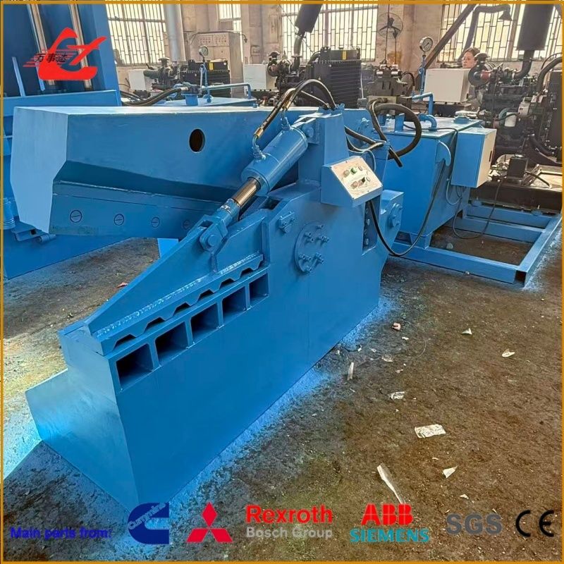 High Power Metal Cutting Shear With 11 KW And 800mm Blade Length For Heavy Duty Use